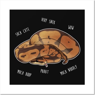 Ball Python Wow Snek Posters and Art